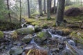 Fast mountain river in forest. Ziarska valley. Western Tatras. Slovakia